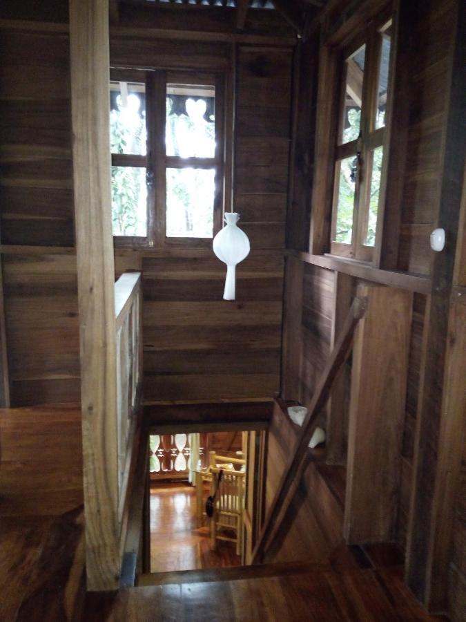 Casa De La Trepada Βίλα Cocles Εξωτερικό φωτογραφία